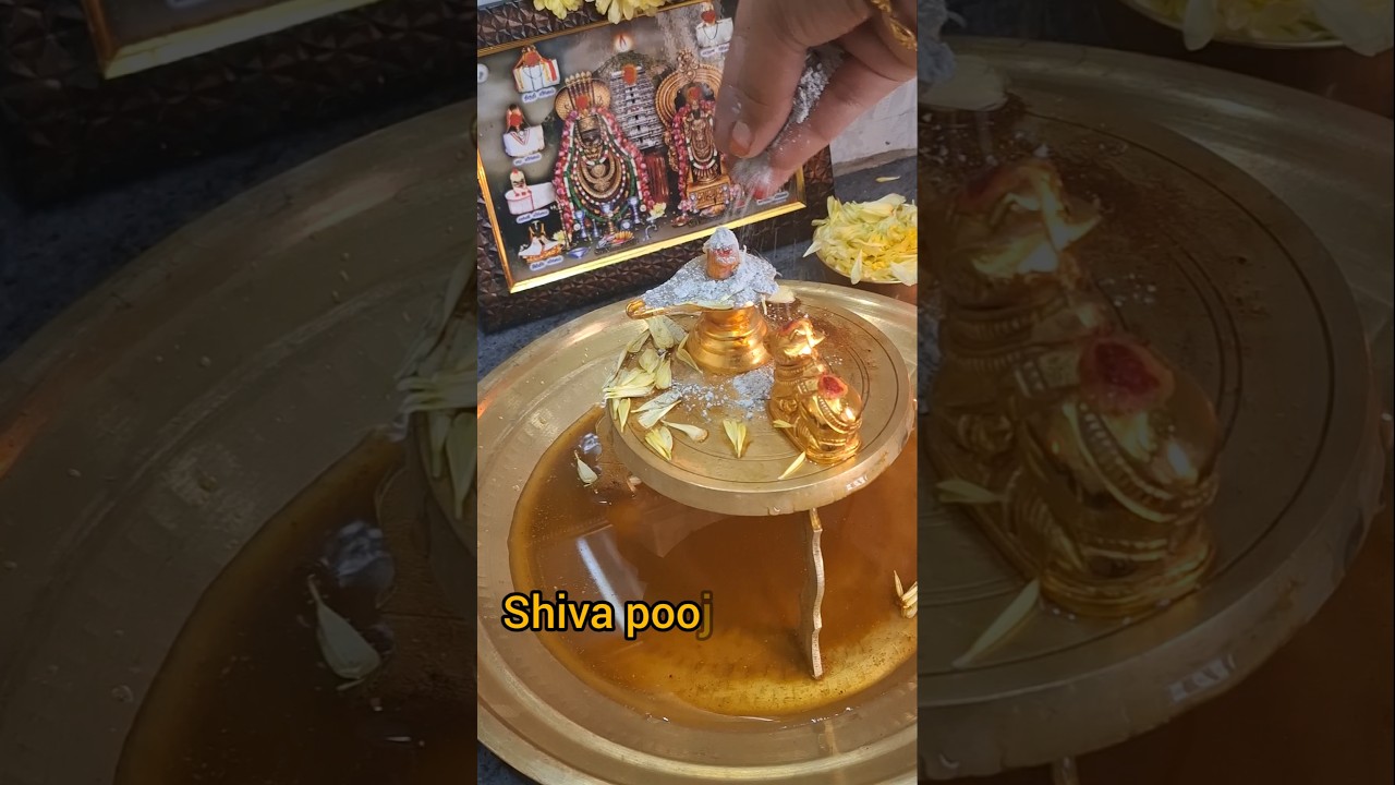 48 days of Shiva poojai day 23 