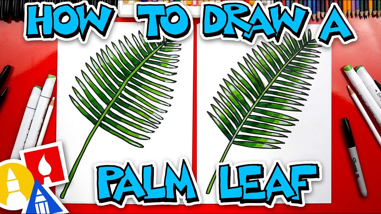 How To Draw A Palm Leaf