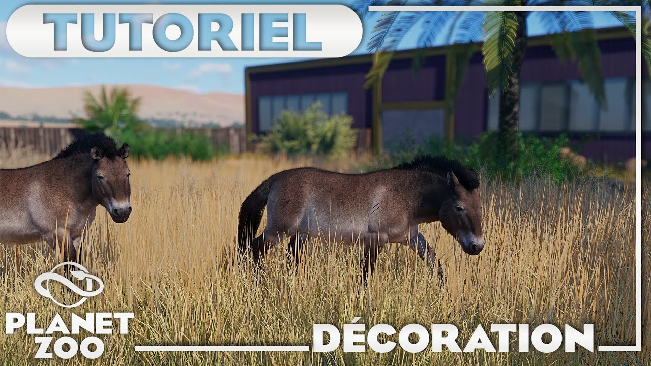 Comment faire de la décoration dans Planet Zoo ? (Et trouver l'inspiration) | TUTORIEL