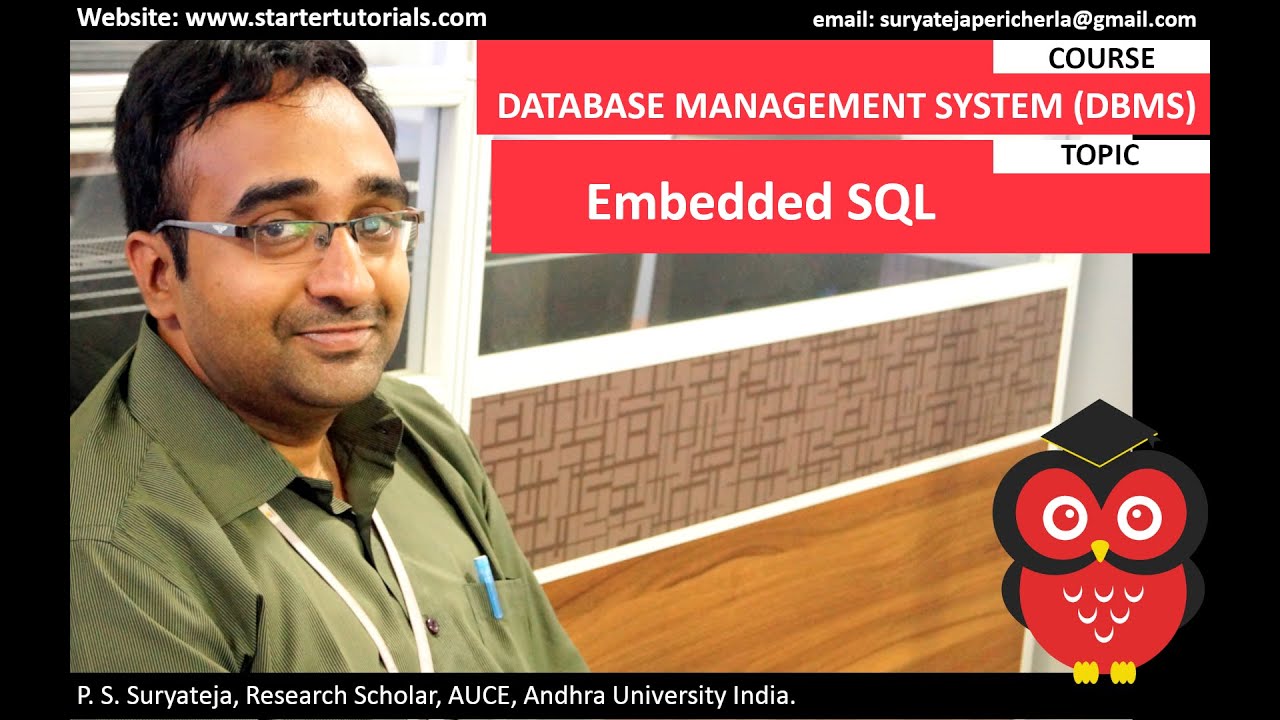 Embedded SQL in DBMS
