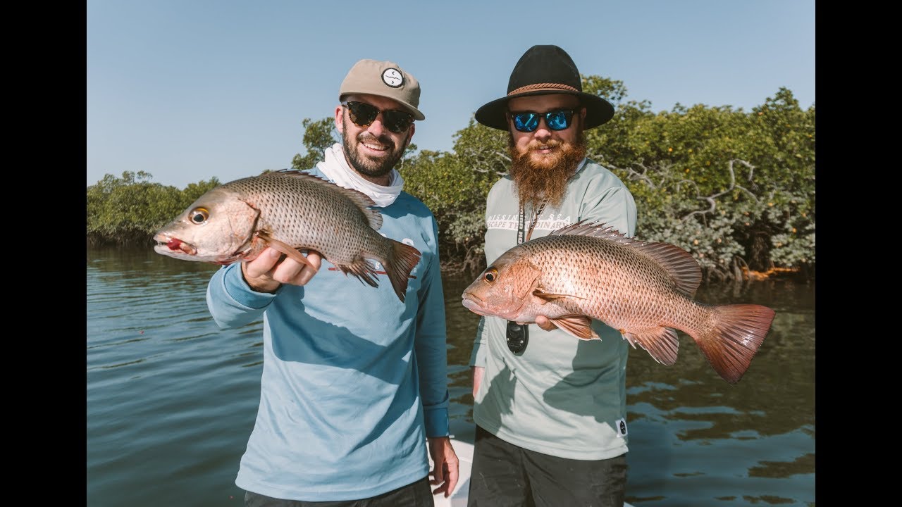 Top Water Jacks - (Mangrove Jack Fishing)