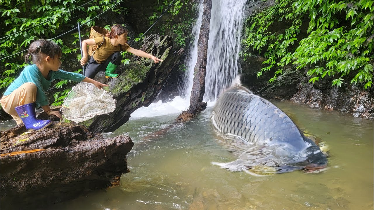 Full video: 30 days fishing also with your daughter. Giant carp. Great fishing skills