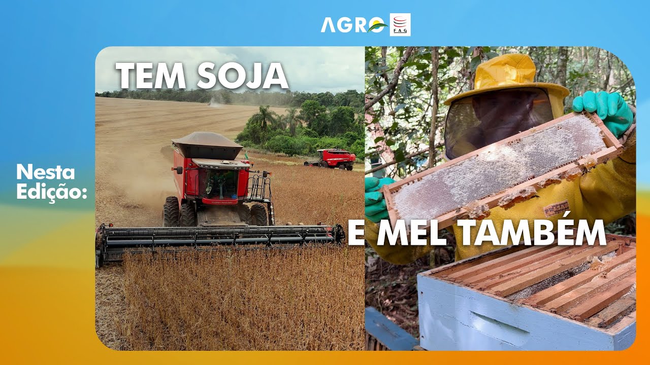 AgroFAG - 08/02/2026