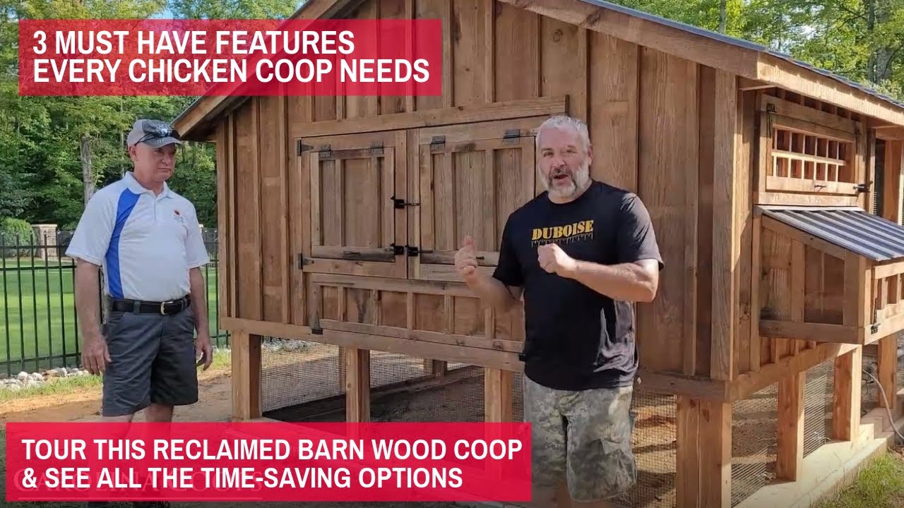 3 Must Have Features Every Chicken Coop Needs |Tour This Coop & See All the Time-Saving Options