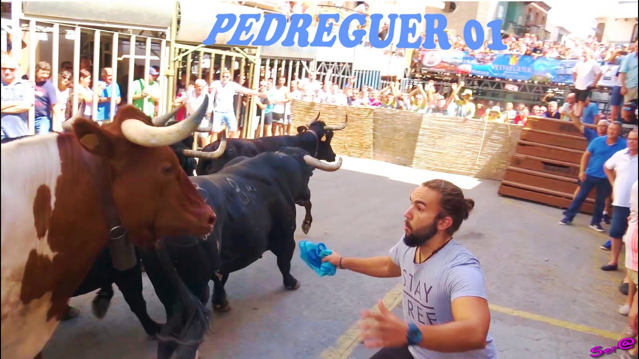 ✅2018 PEDREGUER  01 ◾ ENTRA Ganadería Benavent