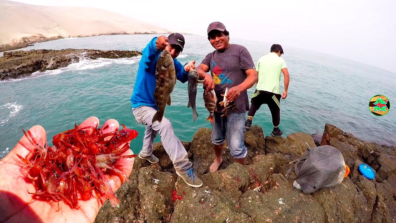 PESCADOR USA UN CEBO M&Aacute;GICO PARA PESCAR PECES GRANDES