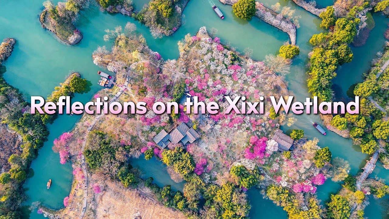 Reflections on the Xixi Wetland