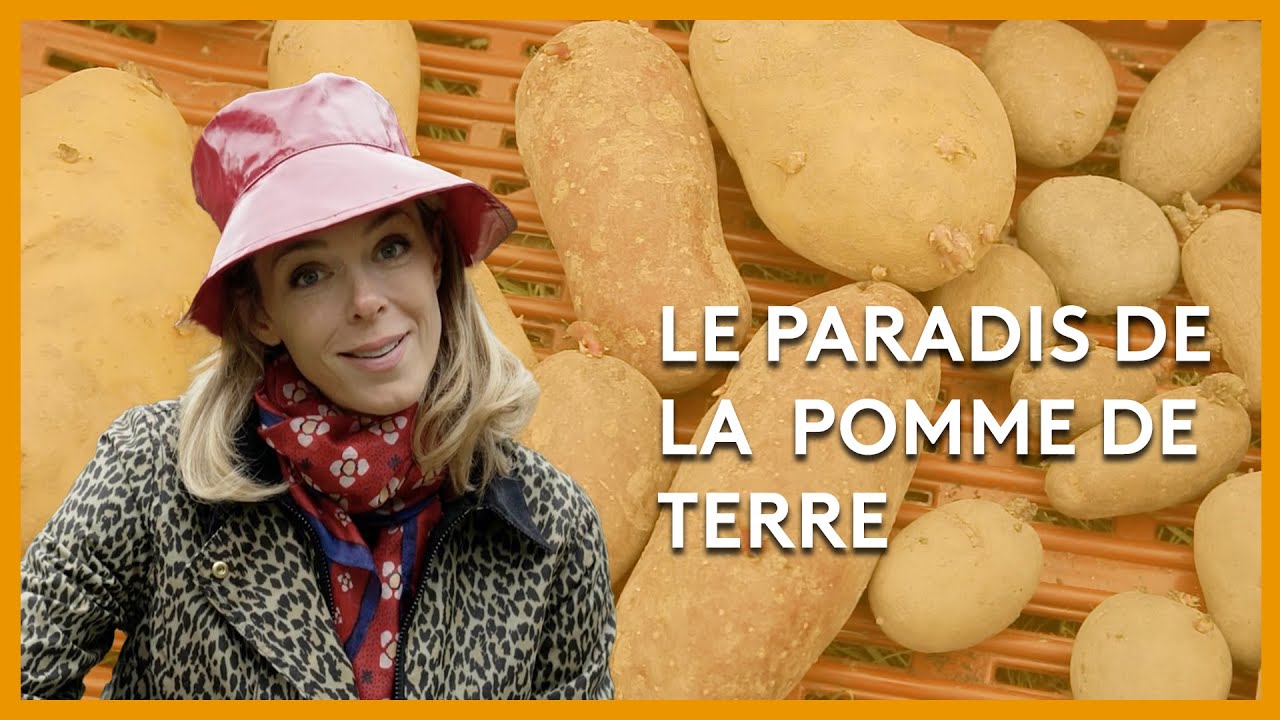 La charlotte du Val-de-Saône - Les potagers de Julie - 22/10/2022