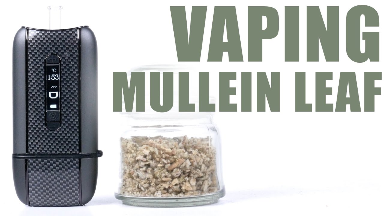 Vaping Mullein Leaf with the Ascent Vaporizer - You Can Vape What?!