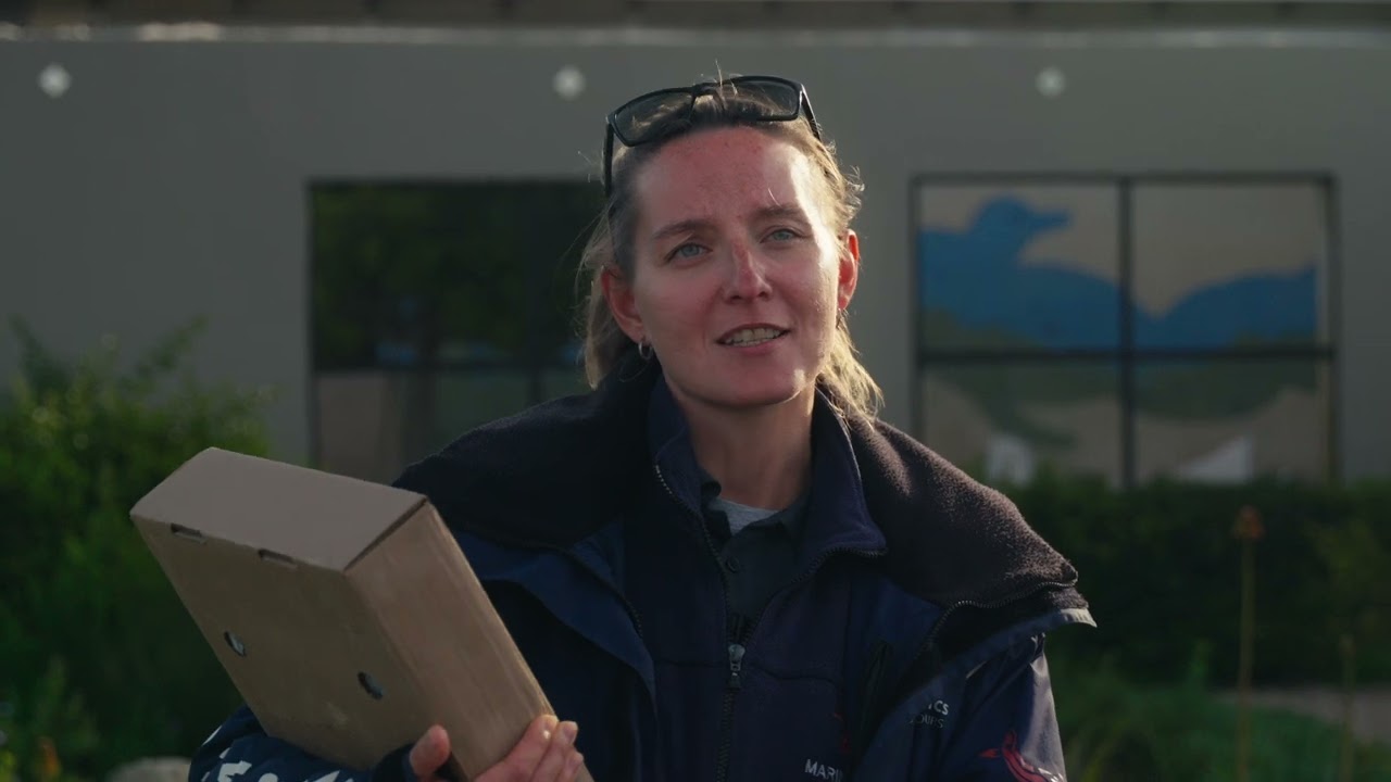 Marine Dynamics: Leading the Way in Eco-Tourism and Marine Conservation