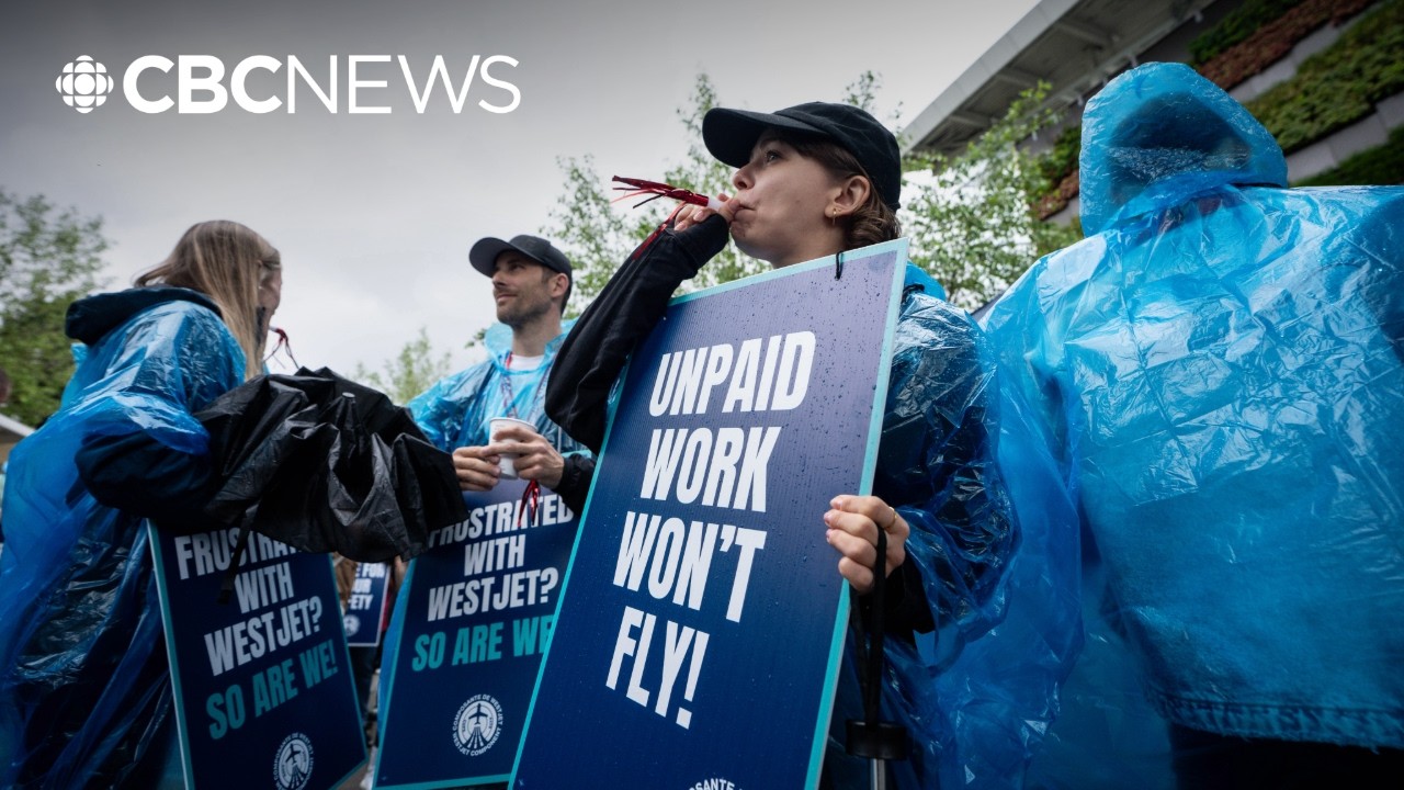 WestJet flight attendants are now on strike. What comes next?