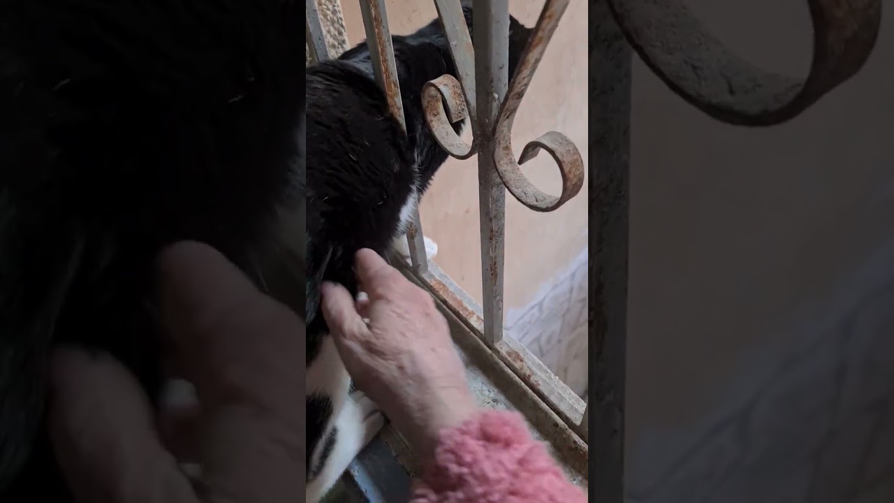 18 февраля 2026 г.