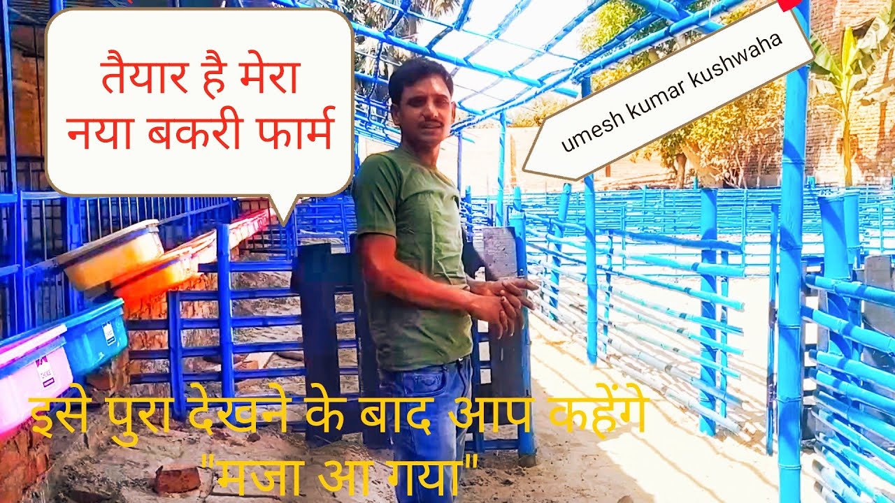 मेरा नया बकरी फार्म आप भी देखें _उमेश कुमार कुशवाहा #new_goat_farm#umesh kumar kushwaha#bakri palan