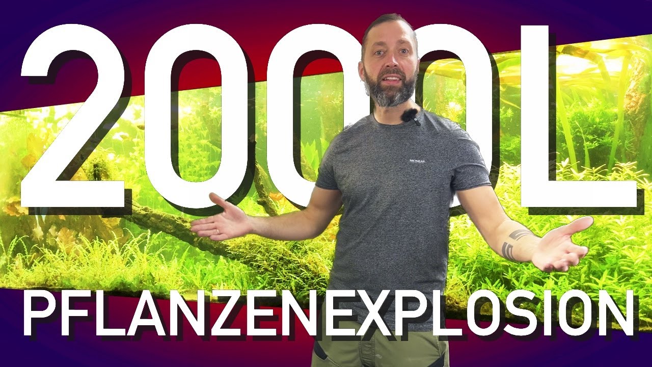 Neues vom 240x100x80 Urwaldscape!!!