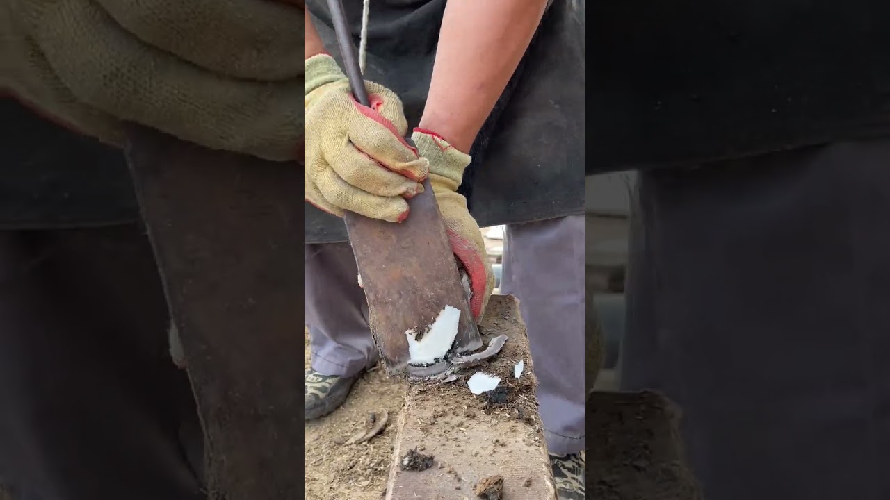 The master repaired the hoof of the donkey, and it was so comfortable to reveal the white hoof core!