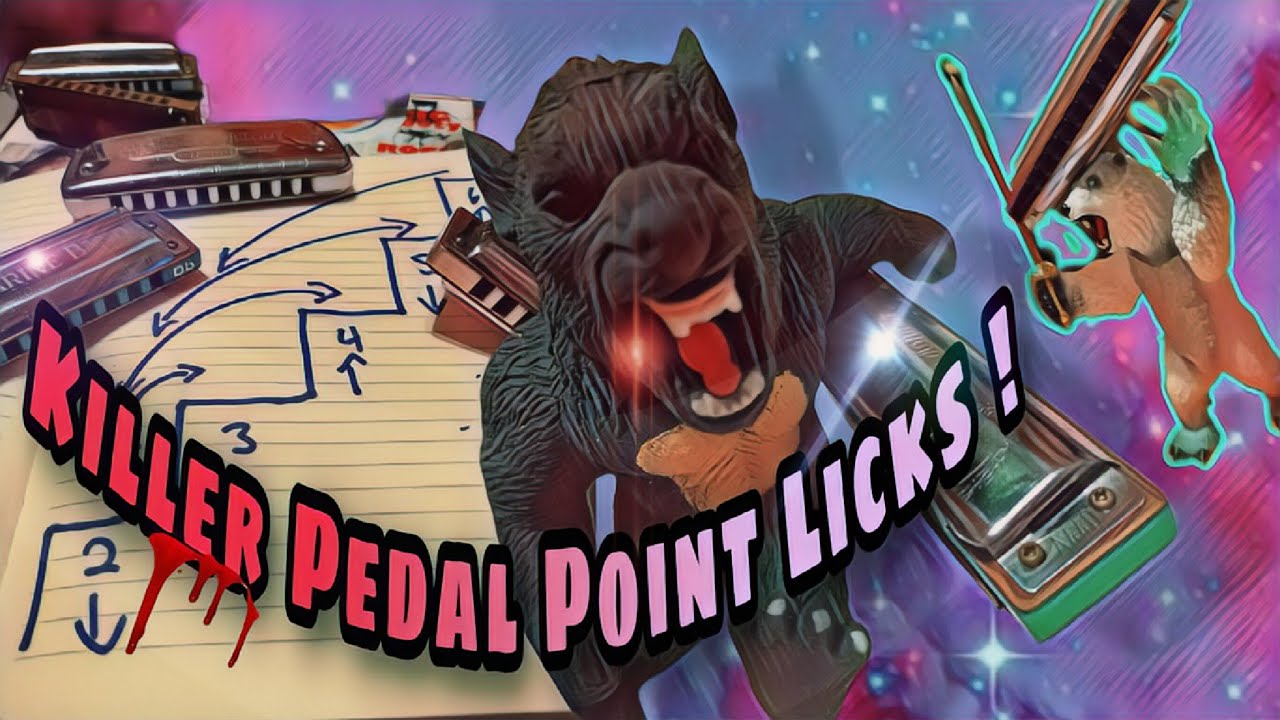 Killer Pedal Point Blues Harp Licks! ("C" Harmonica) 🐺