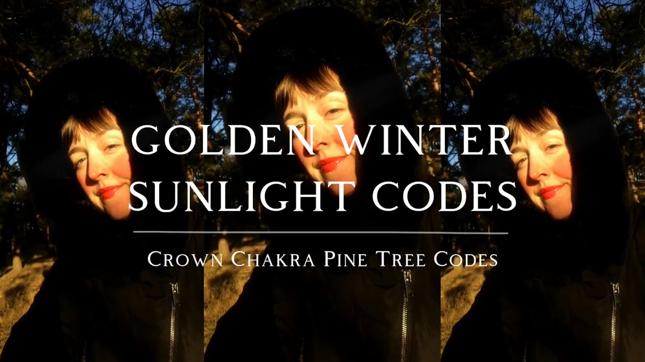 Crown Chakra Pine Tree Codes 🦌🌞 Golden Winter Sunlight Codes ✨🧚&zwj;♂️