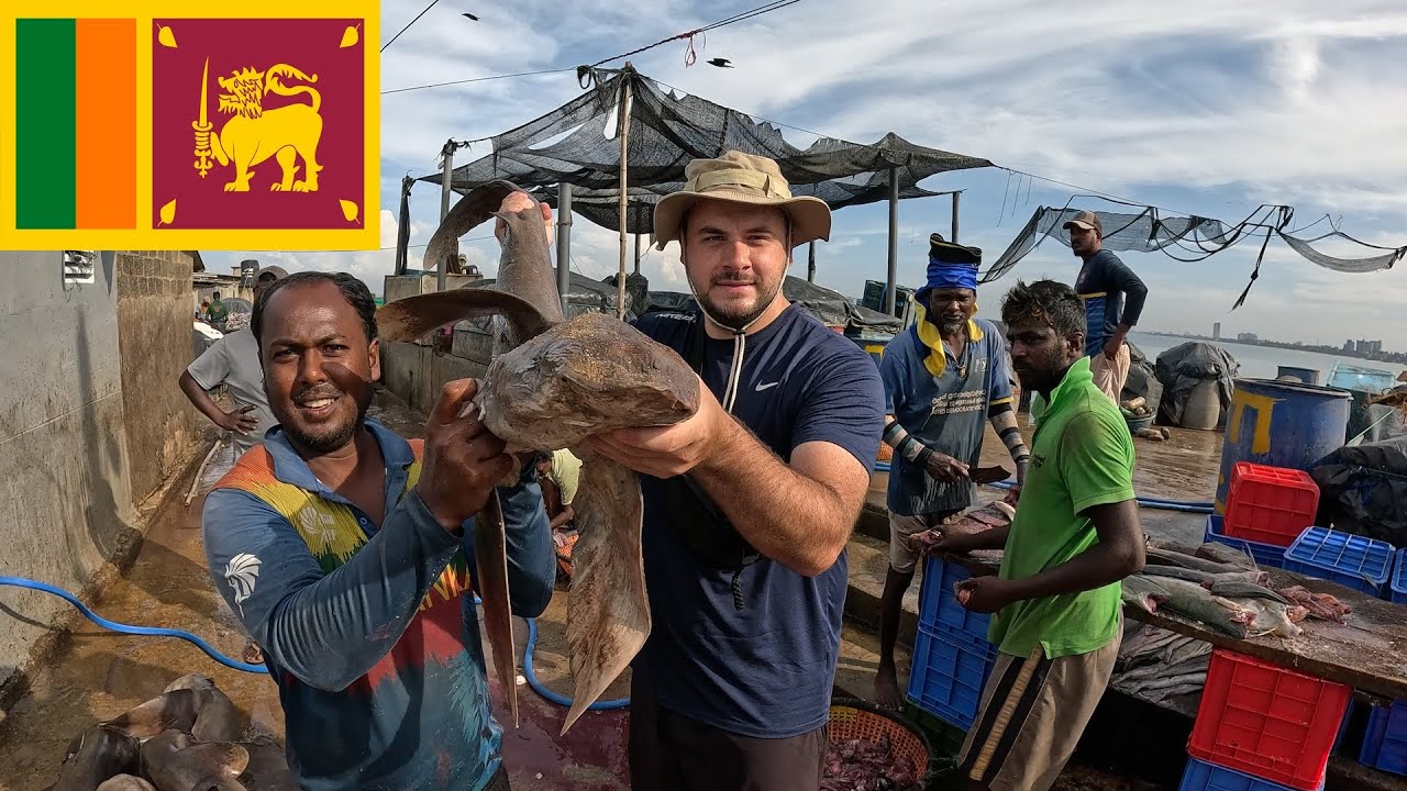 Local Man Shows Me Around Fish Market in Sri Lanka 🇱🇰