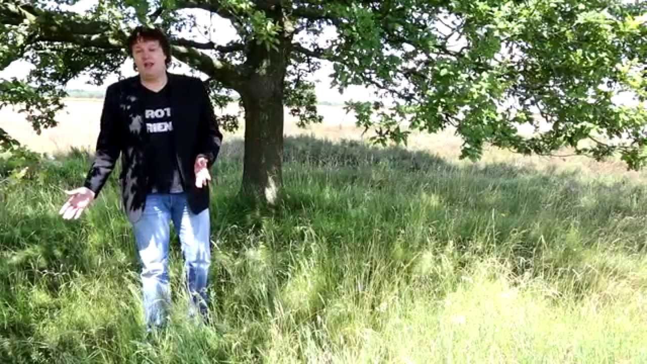 Chris de Roo  - Grote Vriend