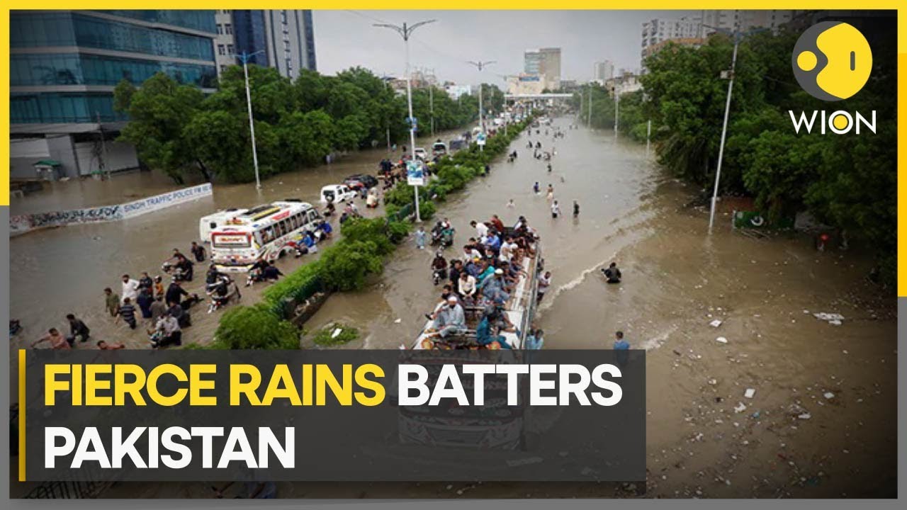 Moonsoon rainfall wreaks havoc in Pakistan | WION Climate Tracker