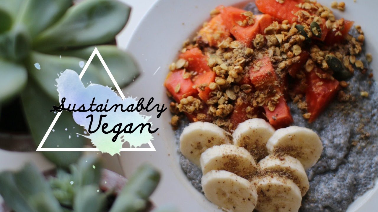 7 Easy Vegan Food Swaps ♡ How to Get Started