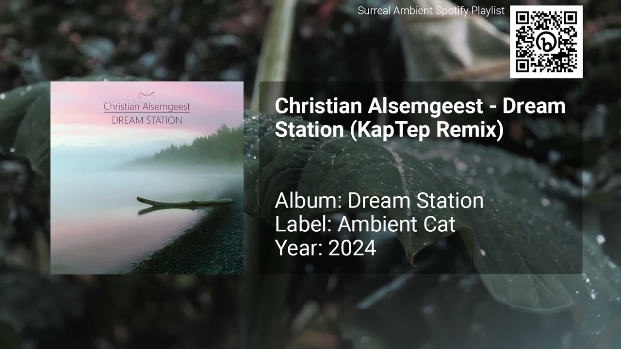 Christian Alsemgeest - Dream Station (KapTep Remix)