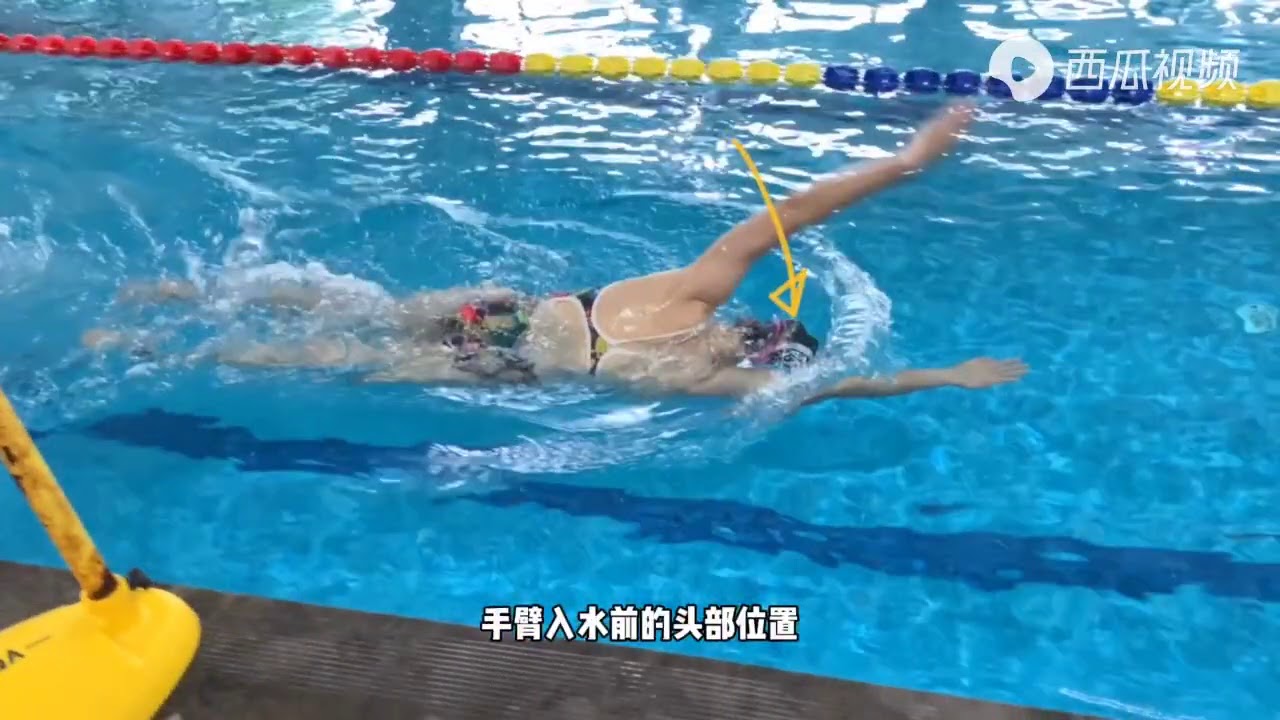 对症下药！流行性蝶泳错误专业纠正，第二个我猜大多数伙伴都犯过