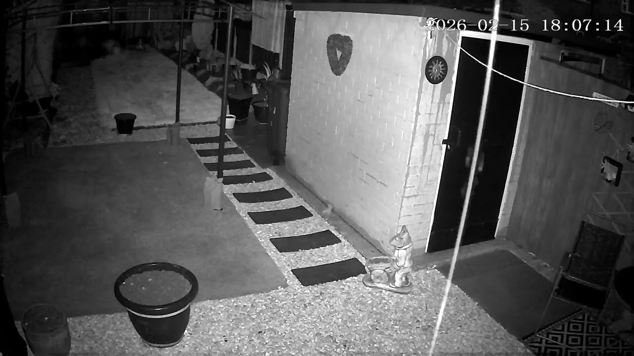 (15/2/2026) 18:04pm HULL (Uk) BYC [0536]