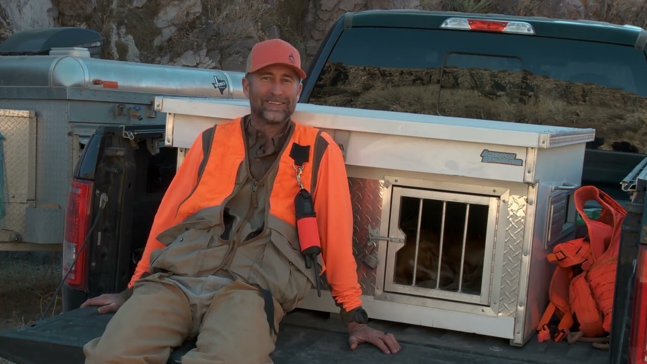 &ldquo;Fresh Diggings&rdquo; | High Brass Gun Dogs in Action | American Birdhunter S20