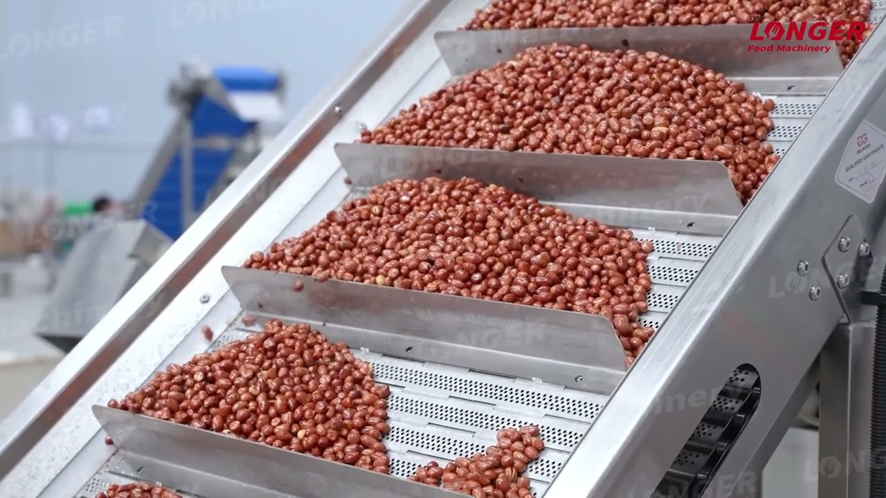 Spicy Peanut Making Machine|Peanut Fryer Production Line