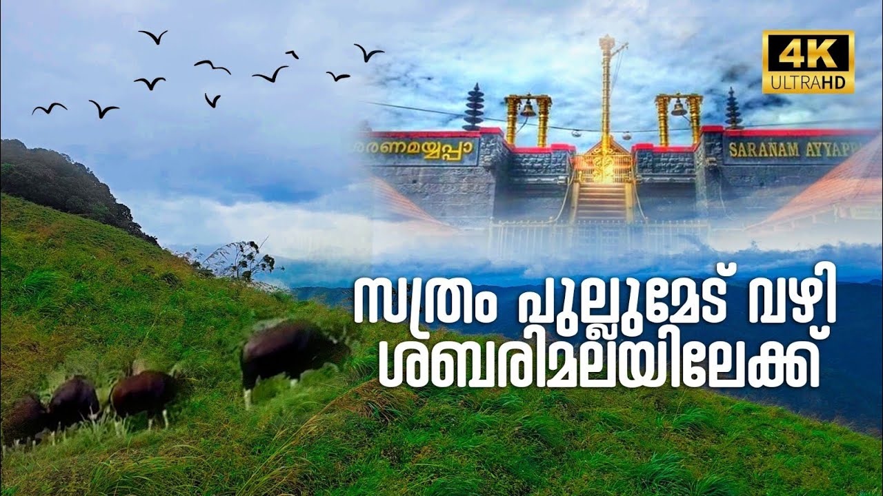 Sabarimala Yatra | Vandiperiyar - Sathram - Pullumedu |  Periyar Tiger Reserve | 4K