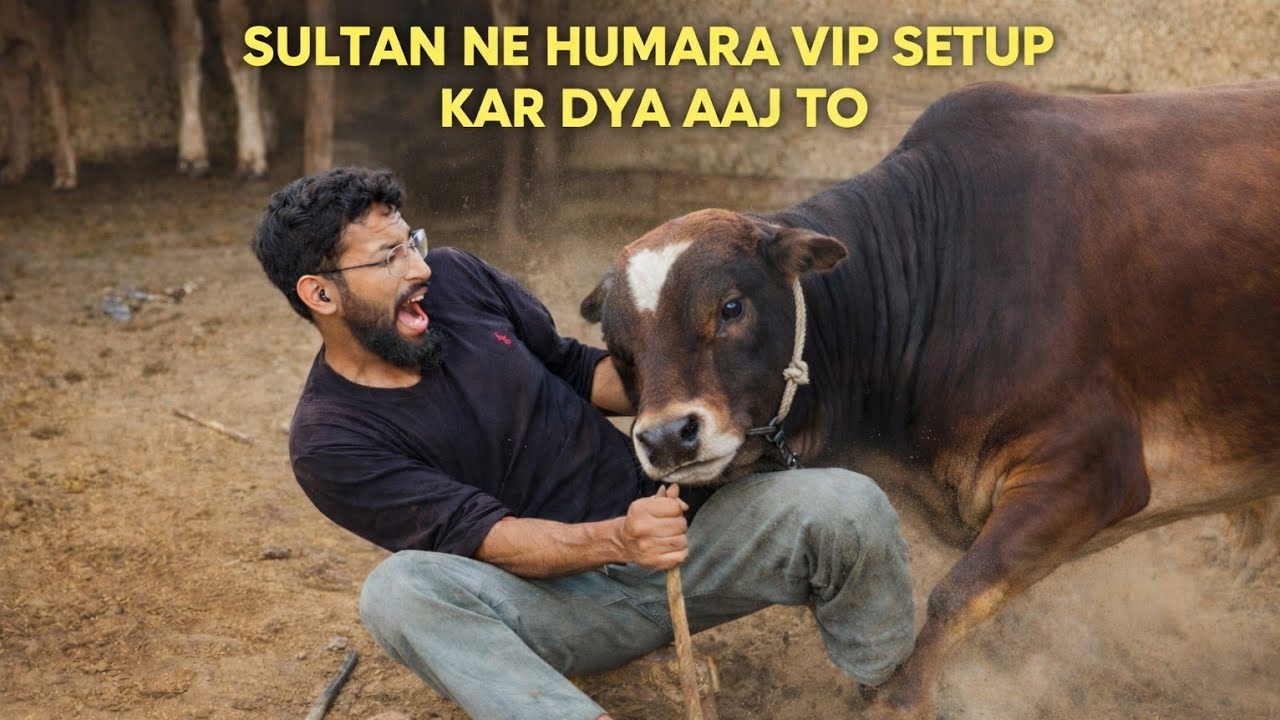 Sultan na humara🥺 vip setup kar dya aaj to