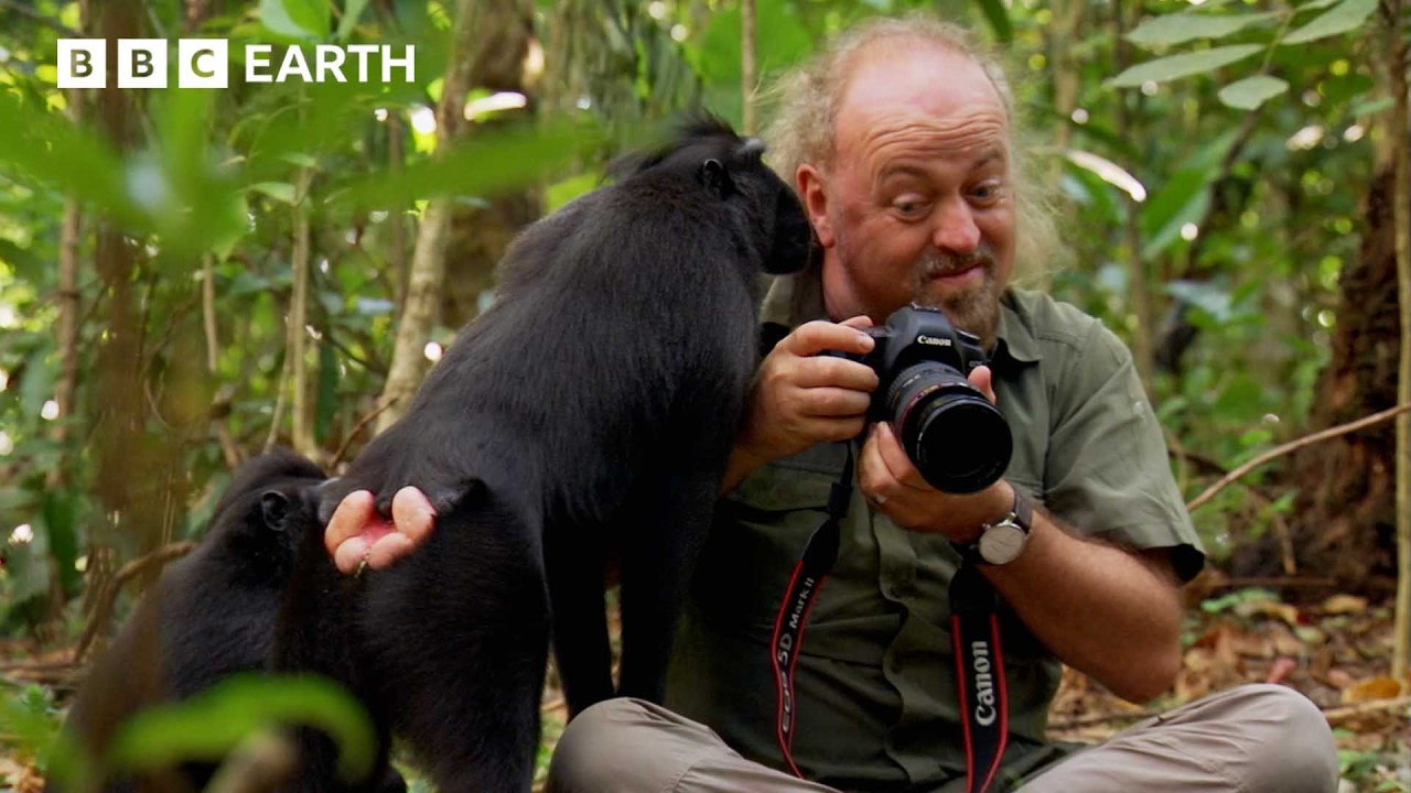 Bill Bailey Encounters Flying Frogs & Birds of Paradise | BBC Earth