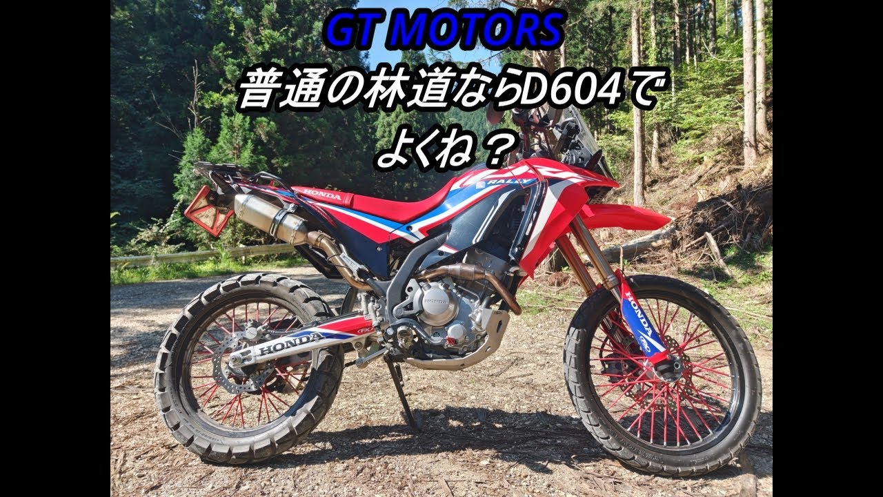 D604最終章