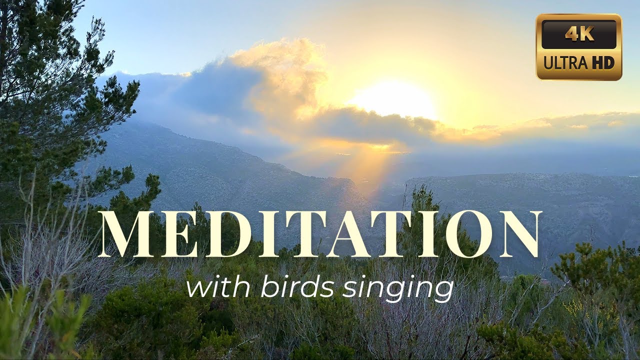 Relaxing Nature Sounds — Meditation Music with Birds Singing at Golden Hour | 40 min