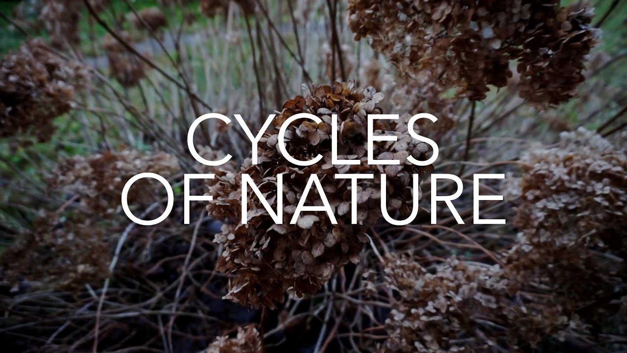 My wish of living according to NATURE'S CYCLES