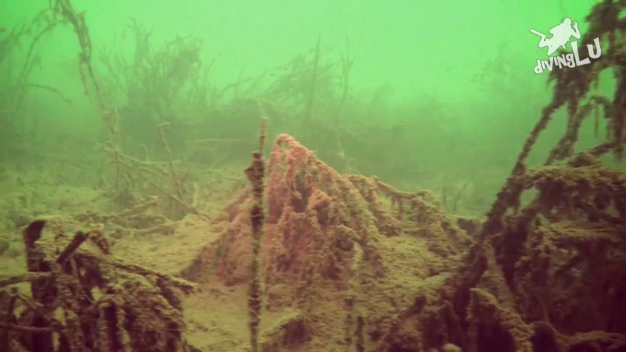 divingLu: Tauchen Zwenkauer See - Einstieg Hafen, Basis Lange-Tauchen