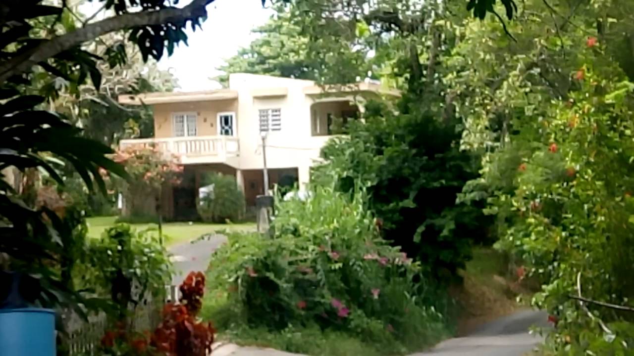 por el sector La Mula desde el Bo. Arenas en Utuado