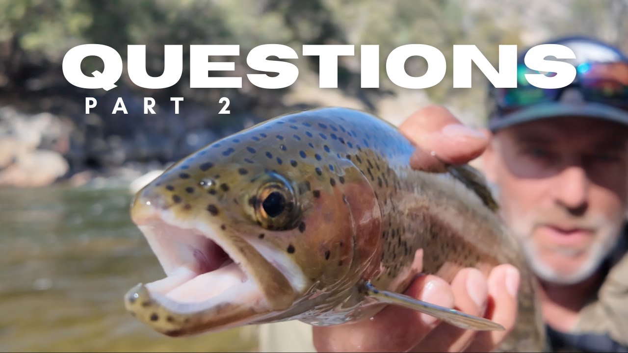 Why only 10% of anglers catch more fish on the Kern River? #2