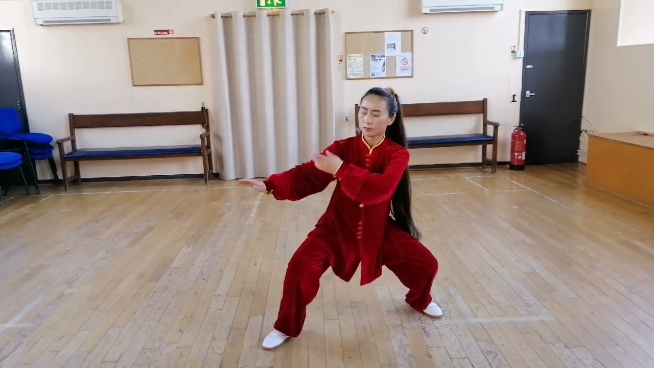 Chen style Taichi 8 form 精简八式陈式太极拳