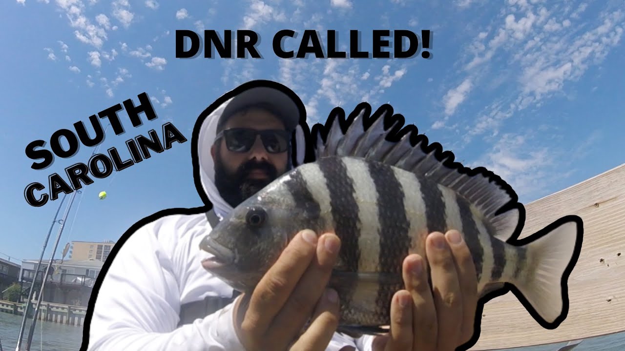 Fishing For Sheepshead Cherry Grove | DNR CALLED (was I wrong?!)