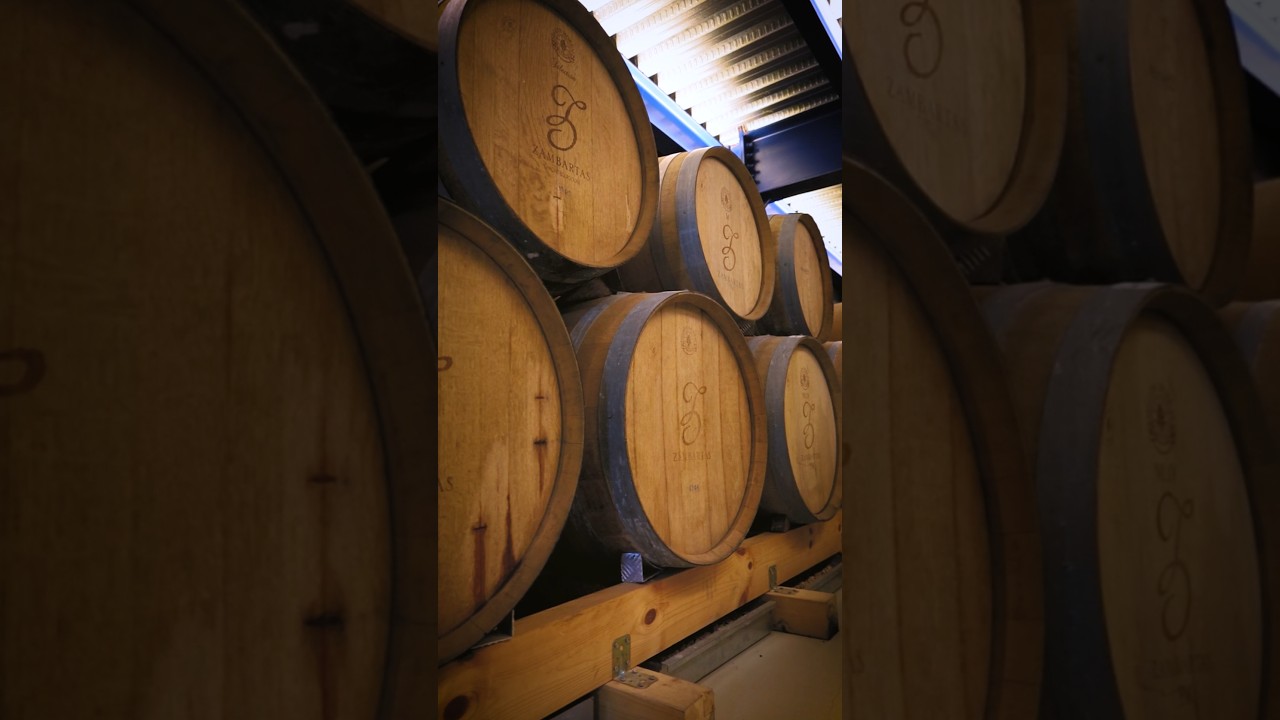 Gkinis Visuals - Zambartas Winery Cyprus #smallbrand #winerytour #tour #diary