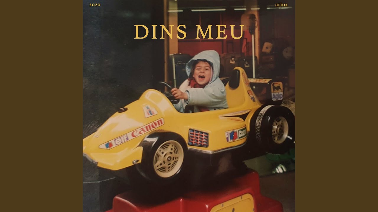 Dins Meu