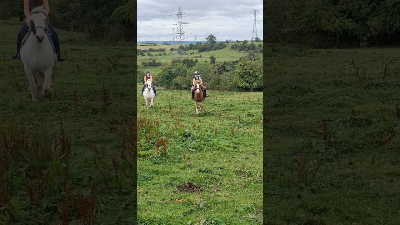 we got to gallop! 