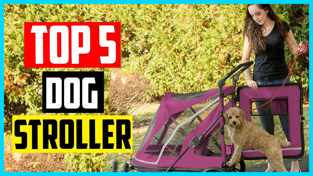 ✅ Top 5 best Dog Stroller in 2024  Buyer&rsquo;s Guide