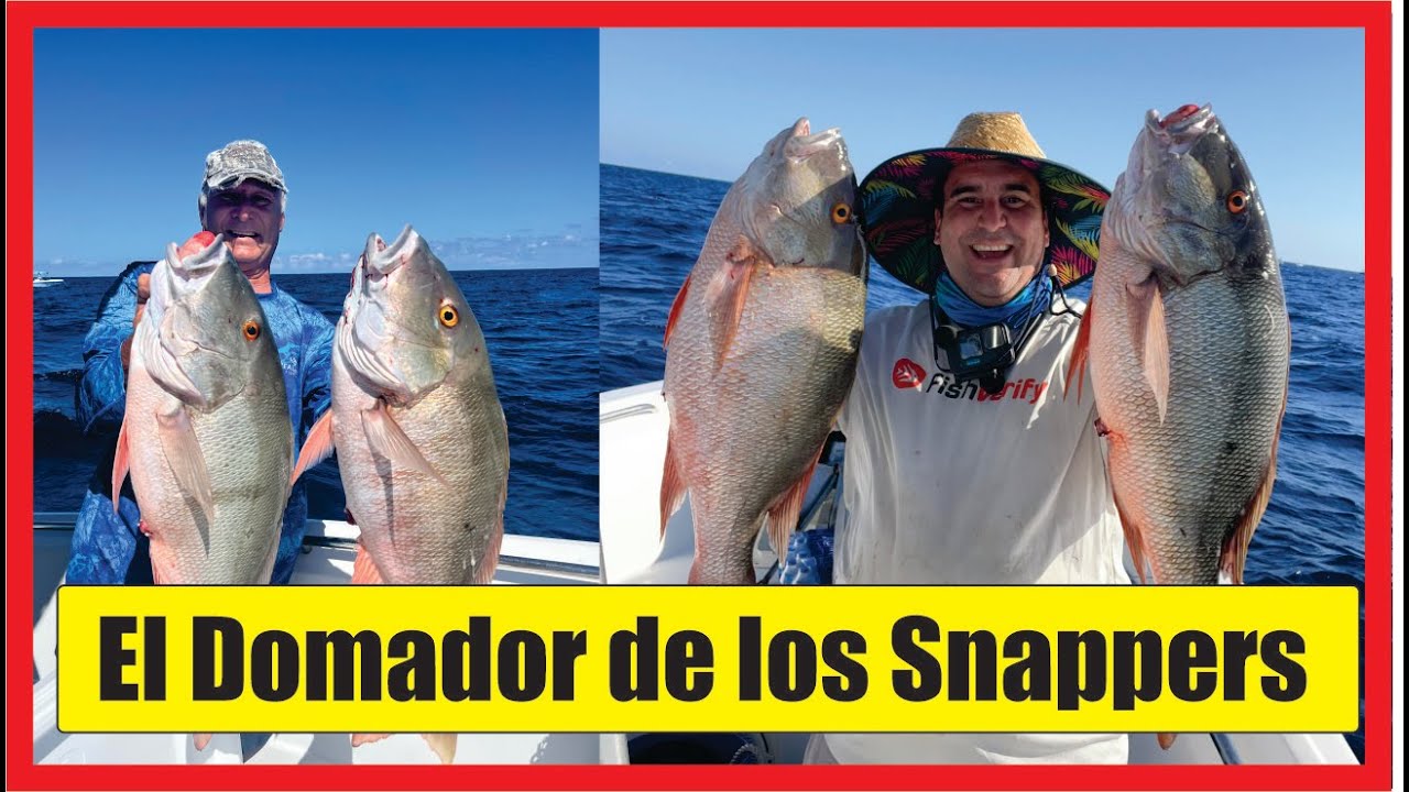 Pesca de Grandes Pargos en los Cayos de la Florida con el Domador de los Snappers
