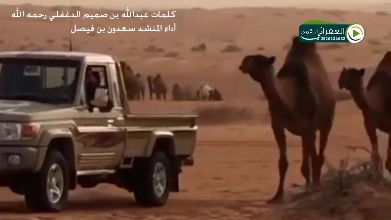 شيلة يا فاطري  لامت جري حنينك كلمات عبدالله بن صميم الدغفلي البقمي رحمه الله اداء سعدون بن فيصل