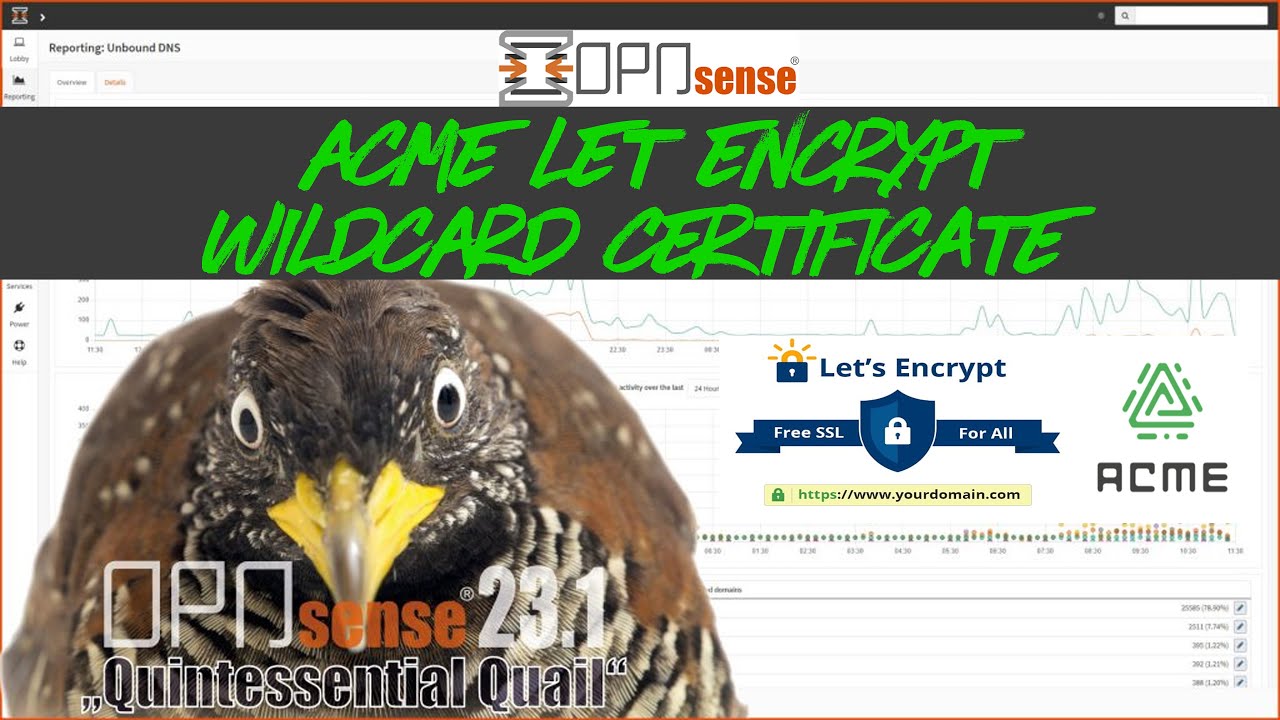 🔐 OPNsense – Configure Let's Encrypt Wildcard Certificate Using ACME Client | Step-by-Step Guide