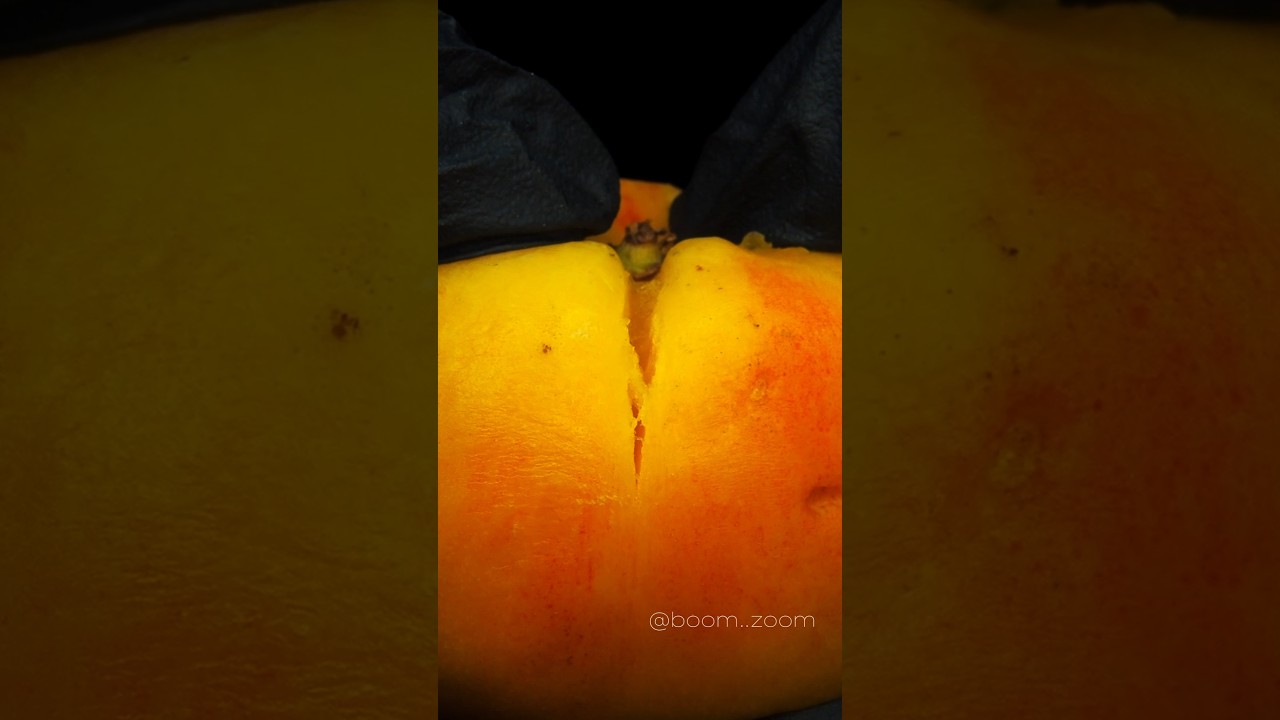 Unseen Macro ASMR: Experiments That Will Tingle Your Senses