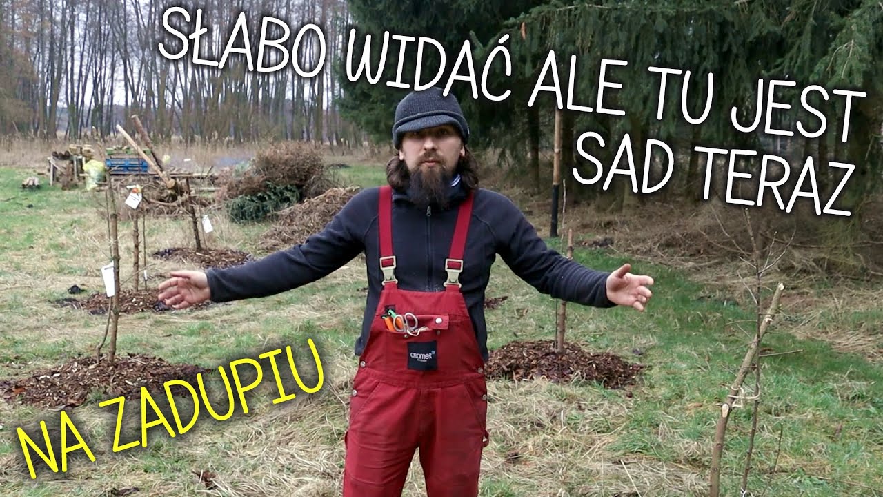 U dzików na zadupiu - Jak nie sadzić drzew owocowych 🍎🍐🍏🍑